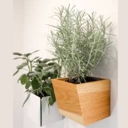 Magnetic Wooden Planter Oblique - Magnetic Flower Pot For Wall Mounted Herbs & Plants - thumbnail 2