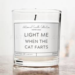 Funny Candle For Cat Owner, Present Mum, Gifts, Candle, Lover Owner Gift, Birthday Dad, ???