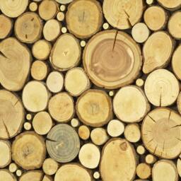 Tree Slice Wall Art Wooden Panel, Nature Hanging - thumbnail 3