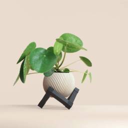Recycled Wooden Plant Pot With Support For Plants/ Cactus, Minimalist & Modern, Home Decor, Original Gift - thumbnail 3