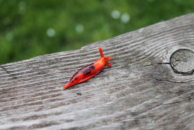 Spotted Slug Glass Sculpture Glass Slug Lampwork Glass Animals Handcrafted Snail Gift Gardener - image 1