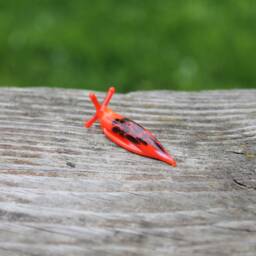 Spotted Slug Glass Sculpture Glass Slug Lampwork Glass Animals Handcrafted Snail Gift Gardener - thumbnail 3