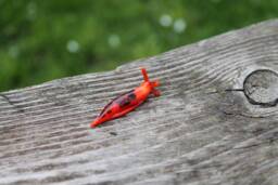 Spotted Slug Glass Sculpture Glass Slug Lampwork Glass Animals Handcrafted Snail Gift Gardener - thumbnail 1