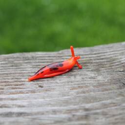Spotted Slug Glass Sculpture Glass Slug Lampwork Glass Animals Handcrafted Snail Gift Gardener - thumbnail 4