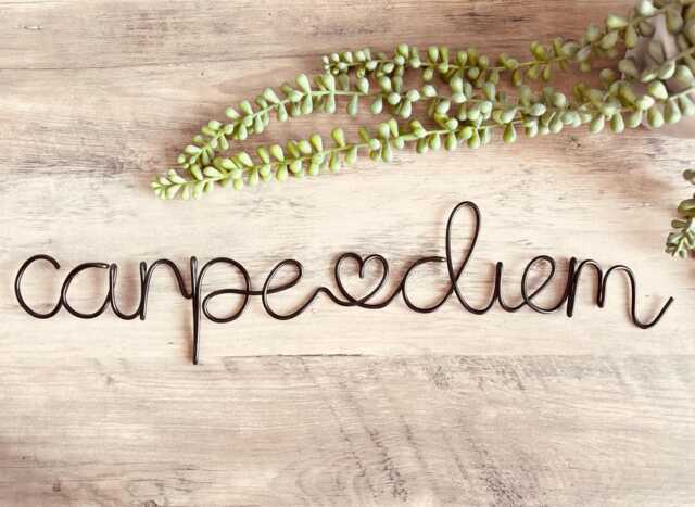 Carpe Diem Wire Word Wall Sign - Art Home Decor Words & Phrases Positive Quote - image 1