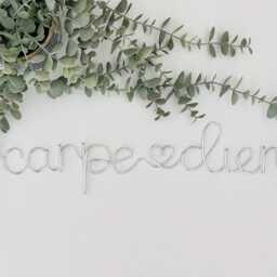Carpe Diem Wire Word Wall Sign - Art Home Decor Words & Phrases Positive Quote - thumbnail 3