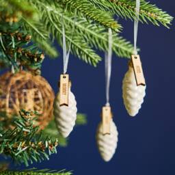 Personalised Glass Pine Cone Christmas Decoration - thumbnail 3