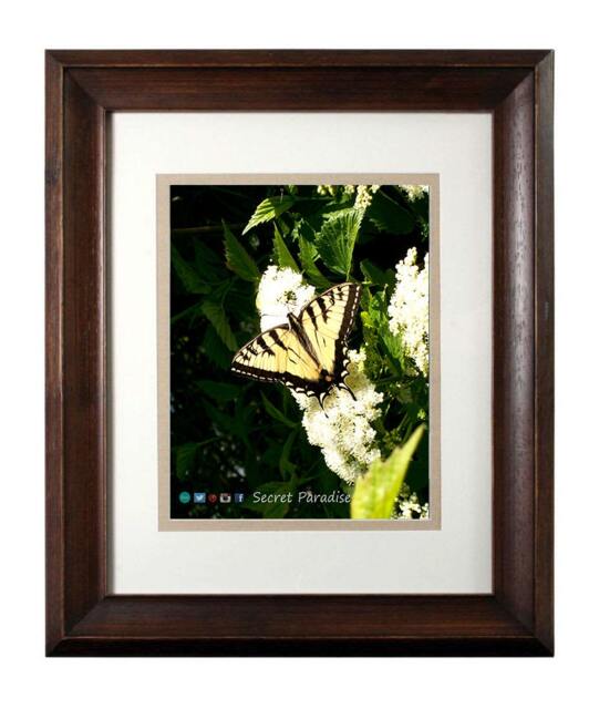 Framed Yellow Butterfly Wall Art, Secret Paradise Garden Photography Print, Lover Gift - image 1