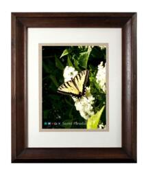 Framed Yellow Butterfly Wall Art, Secret Paradise Garden Photography Print, Lover Gift - thumbnail 1