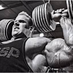Jay Cutler Bodybuilding Gym Muscles Inspirational Large Canvas Art Custom Print Gift A0 A1 A2 A3 A4 - thumbnail 2
