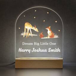 Personalised Dream Big Little One Nursery Night Light - Childrens Led Lamp Woodland Baby Boy Boys - thumbnail 3