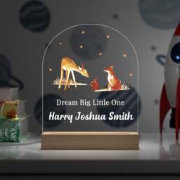 Personalised Dream Big Little One Nursery Night Light - Childrens Led Lamp Woodland Baby Boy Boys - thumbnail 1
