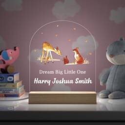 Personalised Dream Big Little One Nursery Night Light - Childrens Led Lamp Woodland Baby Boy Boys - thumbnail 2