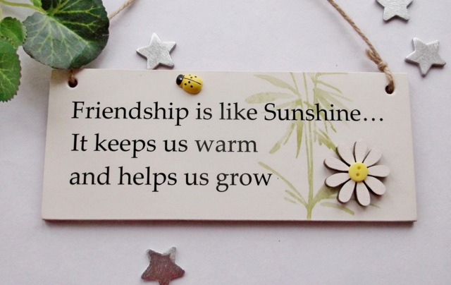 Friendship Is Like Sunshine Wooden Gift Plaque - image 1