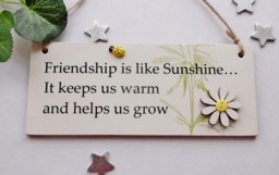 Friendship Is Like Sunshine Wooden Gift Plaque - thumbnail 1