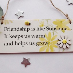 Friendship Is Like Sunshine Wooden Gift Plaque - thumbnail 2