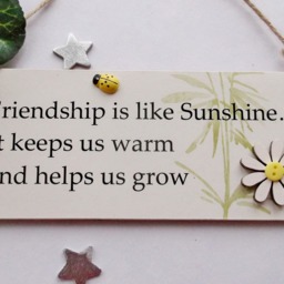 Friendship Is Like Sunshine Wooden Gift Plaque - thumbnail 3