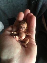 Baby Lycanthrope - thumbnail 1
