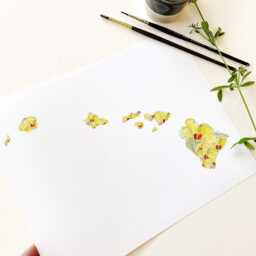 Hawaii State Flower Map Watercolor Pua Aloalo Yellow Hibiscus - Art Print Wall Graduation Wedding Realtor Moving Gift Pacific Travel - thumbnail 3