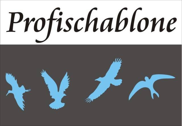 Wall Stencil, Painter's Border, Borders, Stippling Decorative Wall Decor - Bird Stencil