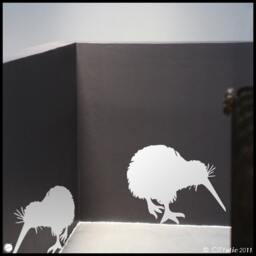 Kiwi Bird Family Vinyl Wall Decal - New Zealand Kids Room Decor - thumbnail 2