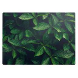 Leaves in The Thicket Computer Chair Mat, Green Office Plants Vinyl Floor Protector, Protector - thumbnail 2