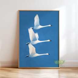 Flying Swans Wall Art, Minimalist Bird Poster, Modern Nature Print, Serene Blue Sky Artwork, Elegant Wildlife Home Decor, Contemporary Art - thumbnail 1