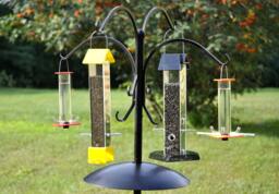 Four Bird Feeder Package Seed & Nectar Feeders