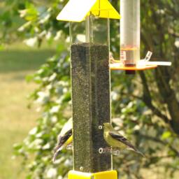 Four Bird Feeder Package Seed & Nectar Feeders - thumbnail 2
