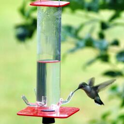 Four Bird Feeder Package Seed & Nectar Feeders - thumbnail 4