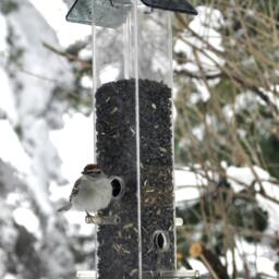 Four Bird Feeder Package Seed & Nectar Feeders - thumbnail 3