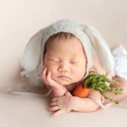 Newborn Felted Carrot Toy, Photography Props, Carrots Prop, Felt Photo Easter Small Toy - thumbnail 2