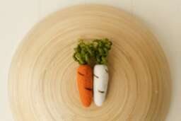 Newborn Felted Carrot Toy, Photography Props, Carrots Prop, Felt Photo Easter Small Toy - thumbnail 1