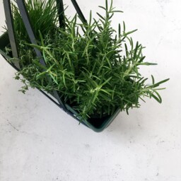 Hanging Basket Herb Garden Leather Geometric Planter Black Dark Green Pot Plant Lover Gift Boho Home Decor Jungalow Style - thumbnail 2
