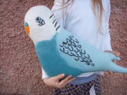 Budgie Cushion