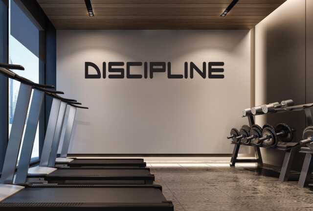 Gym Design, Classroom Decor, Fitness Wall Decal, Office Discipline Decal 210 - image 1