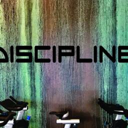 Gym Design, Classroom Decor, Fitness Wall Decal, Office Discipline Decal 210 - thumbnail 3