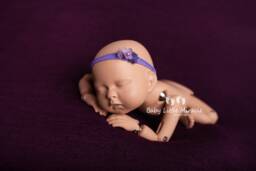 Samantha Eggplant Posing Fabric, Backdrop, Newborn Cover, Fabric Bean Bag Blanket, Beanbag Baby Shower Gift
