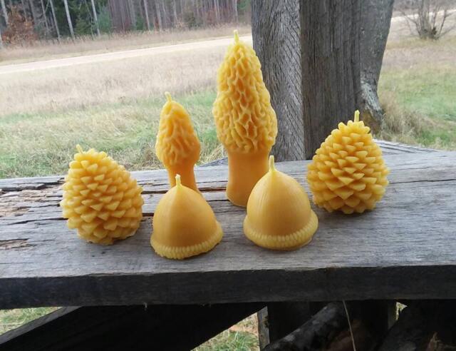 Forest Beeswax Candle Bundle Morel, Acorn & Pinecone - Handmade Artisan Decor - image 1