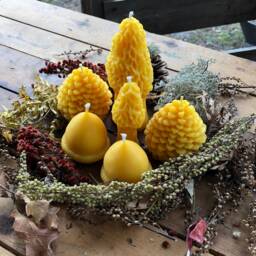 Forest Beeswax Candle Bundle Morel, Acorn & Pinecone - Handmade Artisan Decor - thumbnail 3