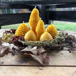 Forest Beeswax Candle Bundle Morel, Acorn & Pinecone - Handmade Artisan Decor - thumbnail 2