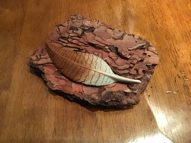 Natural Bark Base With Mounted Hand Carved American Wigeon Feather - image 1