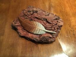 Natural Bark Base With Mounted Hand Carved American Wigeon Feather