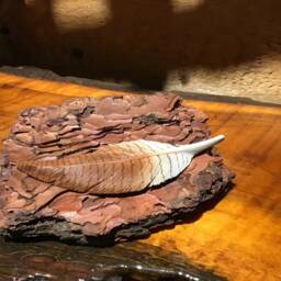 Natural Bark Base With Mounted Hand Carved American Wigeon Feather - thumbnail 3