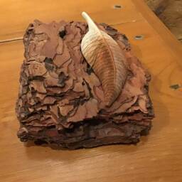 Natural Bark Base With Mounted Hand Carved American Wigeon Feather - thumbnail 4