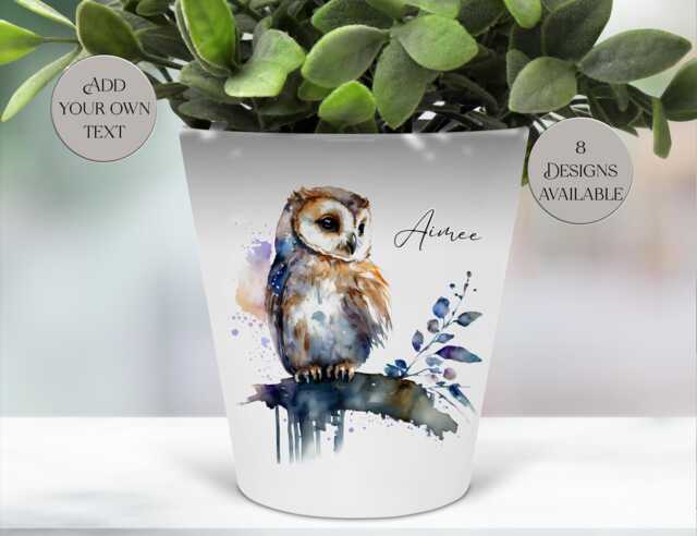 Personalised Owl Plant Pot - Custom Pen Holder, Makeup Brush Storage, Desk D??cor - image 1