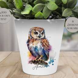 Personalised Owl Plant Pot - Custom Pen Holder, Makeup Brush Storage, Desk D??cor - thumbnail 2