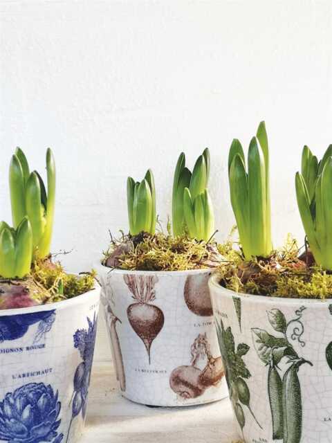 Brown Vegetable Dutch Pot - Crackle Glaze Plant Rustic Cover Succulent Planter House - image 1