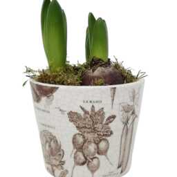 Brown Vegetable Dutch Pot - Crackle Glaze Plant Rustic Cover Succulent Planter House - thumbnail 2
