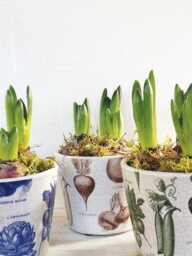 Brown Vegetable Dutch Pot - Crackle Glaze Plant Rustic Cover Succulent Planter House - thumbnail 1